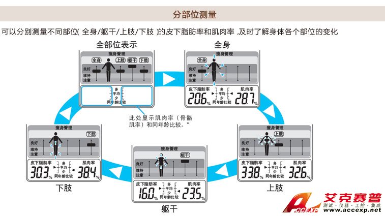 分布位測量 分布位測量