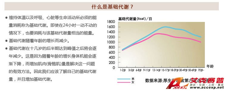了解基礎代謝 了解基礎代謝