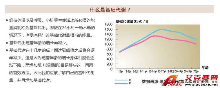 了解基礎代謝 了解基礎代謝