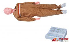 TSI-CPR-400型高級(jí)全自動(dòng)電腦心肺復(fù)蘇模擬人